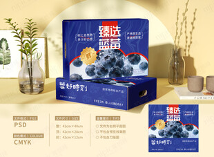蓝莓礼盒