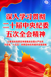 二十届中央纪委五次全会展板
