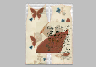 中式古风蝴蝶信纸插画