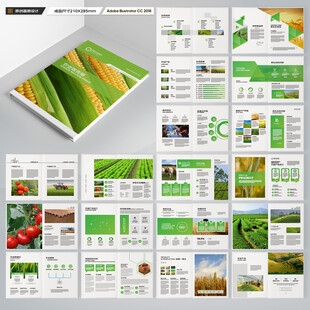 农产品宣传册