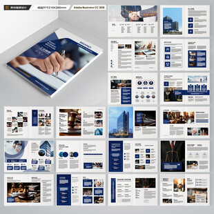 大气律师事务所画册