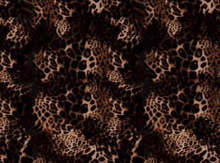 豹纹图案纹理