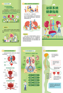 三折页 泌尿系统健康指南