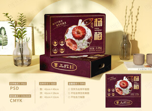 杨梅礼盒