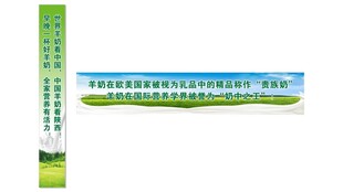 绿色清新长条状装饰图案