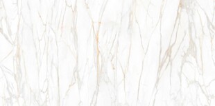 白色鱼肚金大理石石纹