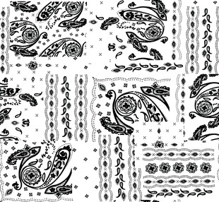 黑白佩斯利花纹图案设计
