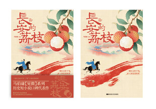 长安的荔枝海报书籍封面