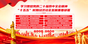 党的二十届四中全会精神