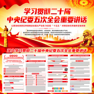 中央纪委五次全会重要讲话