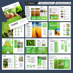 农产品宣传册