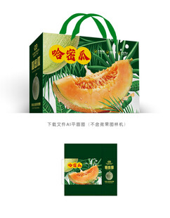 哈密瓜包装 
