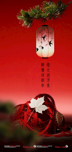 中式喜庆元宵佳节创意海报