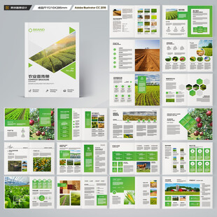 农产品宣传册