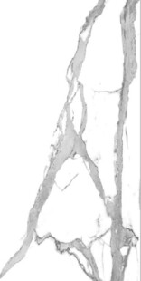 抽象灰白树枝纹理图案