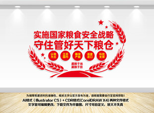 国家粮食安全战略