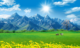 蓝天白云大草原