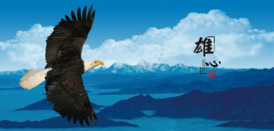 雄鹰翱翔于山水蓝天间