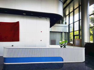 室内摆花设计效果图