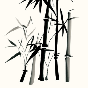 水墨风竹子插画