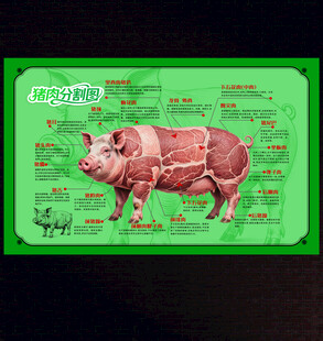 猪肉分解图