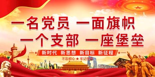 一名党员 一面旗帜 一个支部 