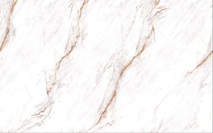 白色鱼肚金大理石石纹