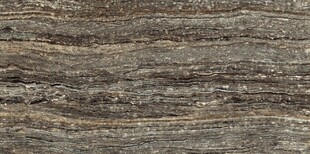 深棕色树化玉大理石石纹