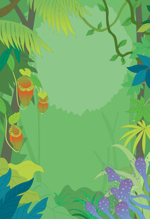 树林森林植物春季夏季卡通边框