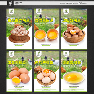 鸡蛋