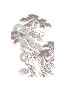 松树 龙纹