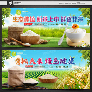 s水果 生鲜 超市