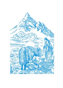 雪山下的牧民与牦牛场景