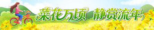  油菜花节横幅