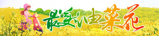  油菜花节横幅 
