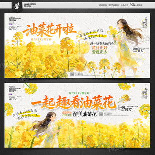油菜花