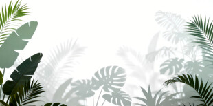 雾气磨砂膜效果绿植贴图