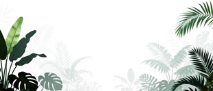 雾气磨砂膜效果绿植贴图