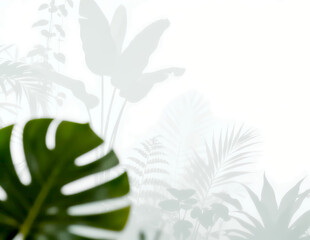 雾气磨砂膜效果绿植贴图