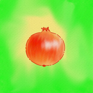 绿色背景上的红石榴