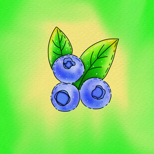 手绘蓝莓与绿叶