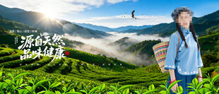 茶山