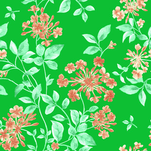 绿色底花卉手绘花