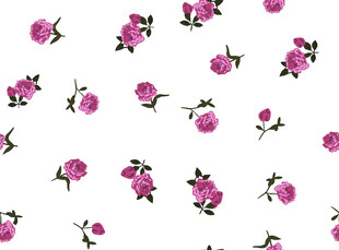 粉色玫瑰花卉图案背景