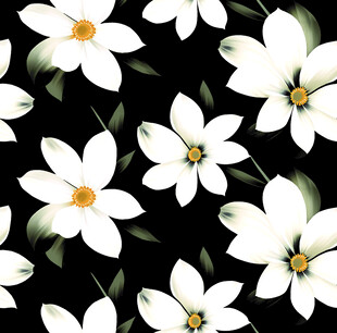 黑色背景上的白色花卉图案