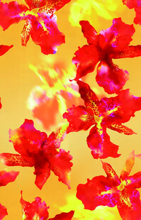 鲜艳红花背景图案