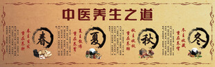 中医养生之道宣传海报