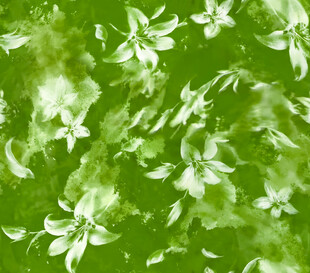 绿色背景上的白色小花