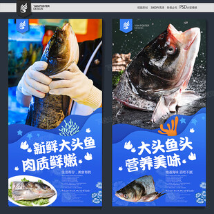 鱼头海报