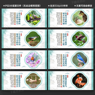 保护鸟类